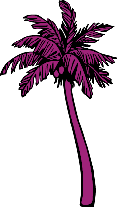 Kuvituskuva piirretystä palmusta.